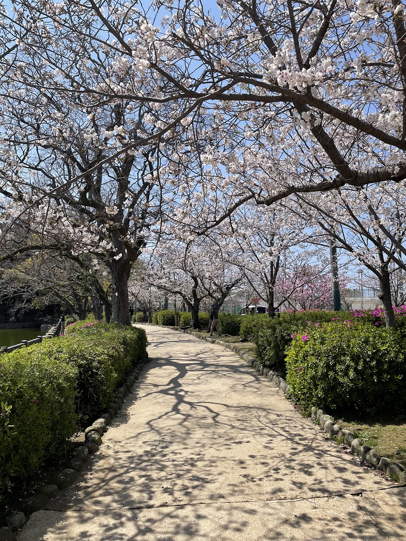 ４月モール原稿